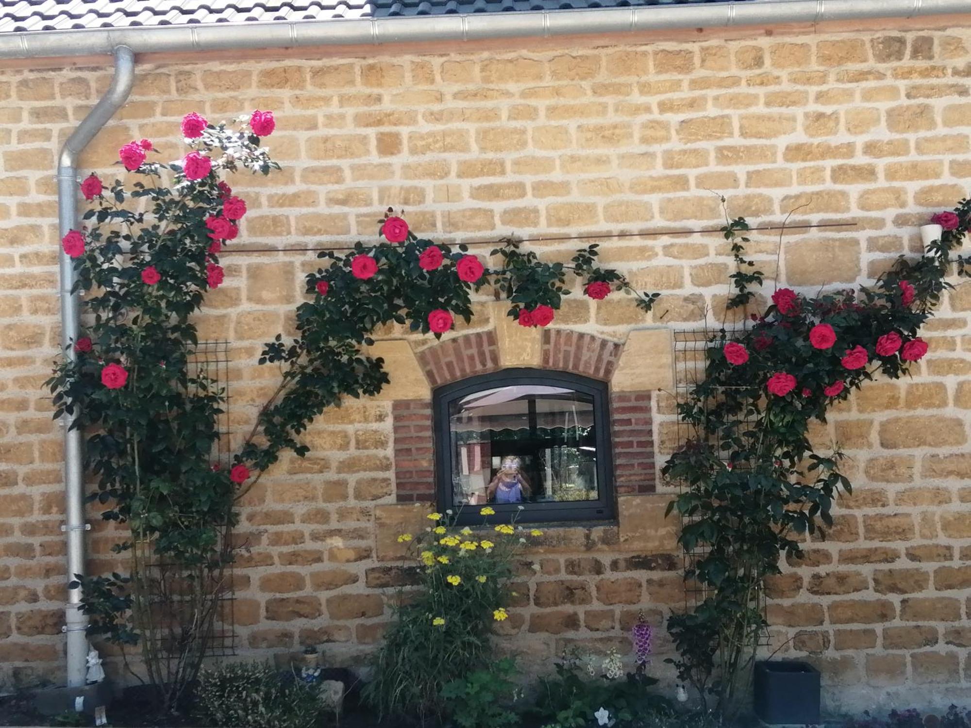 O Jardin De Boutancourt Villa Eksteriør bilde