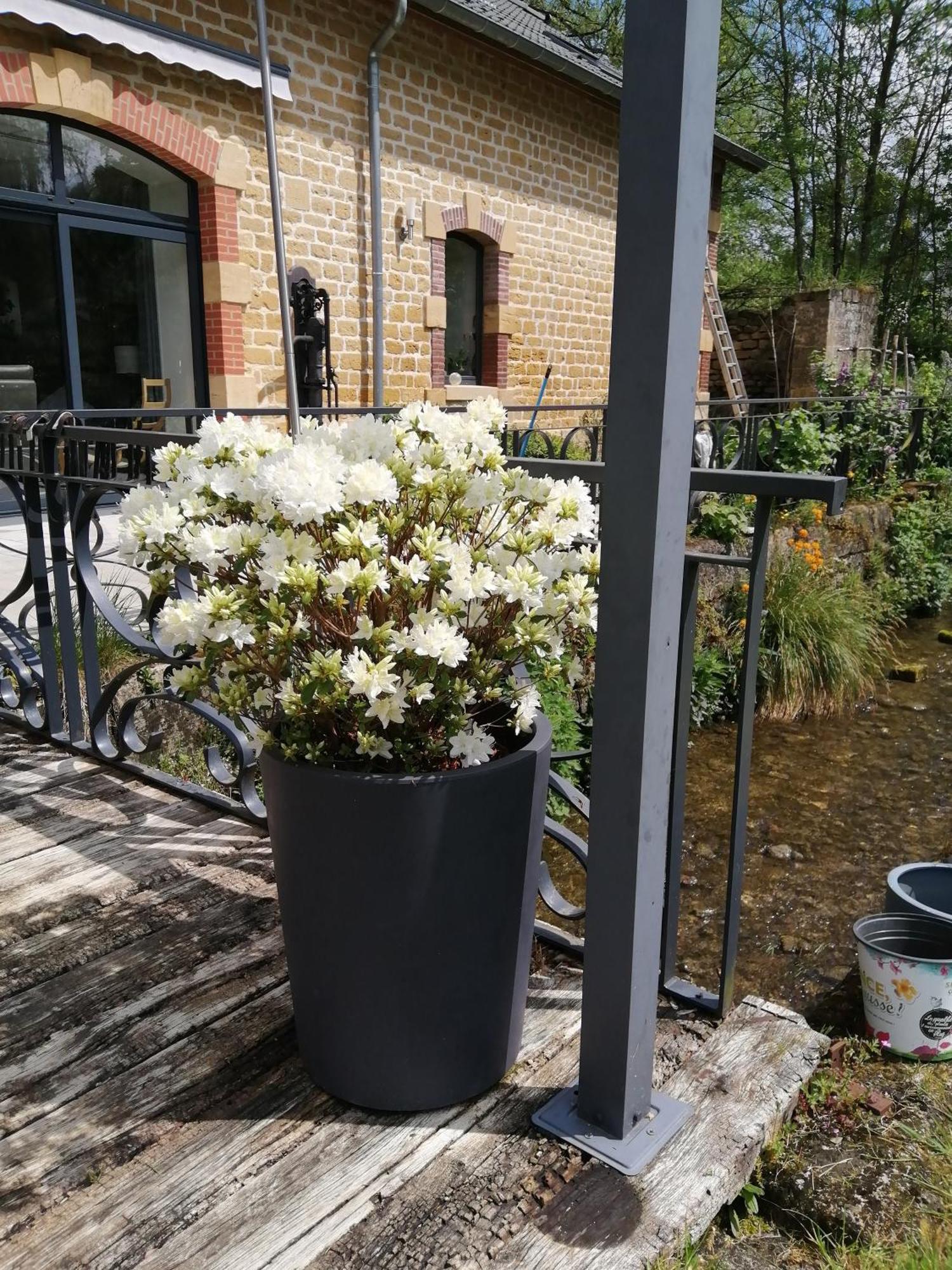 O Jardin De Boutancourt Villa Eksteriør bilde