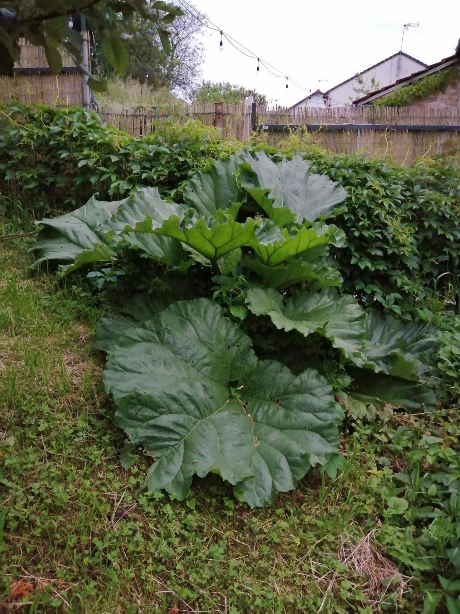 O Jardin De Boutancourt Villa Eksteriør bilde